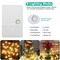 Globe String Lights Waterproof 100 Led 32.8Ft Fairy Lamp With 8 Modes Remote